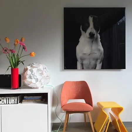 Apartment De Pijp Grand Luxury Designer Amsterdam